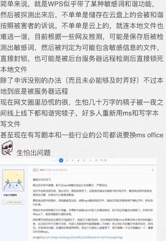 你可能不知道，当你使用WPS的时候，你的文字将会受到审查，如果审查没有通过，你将会失去你所创作的内容的访问权