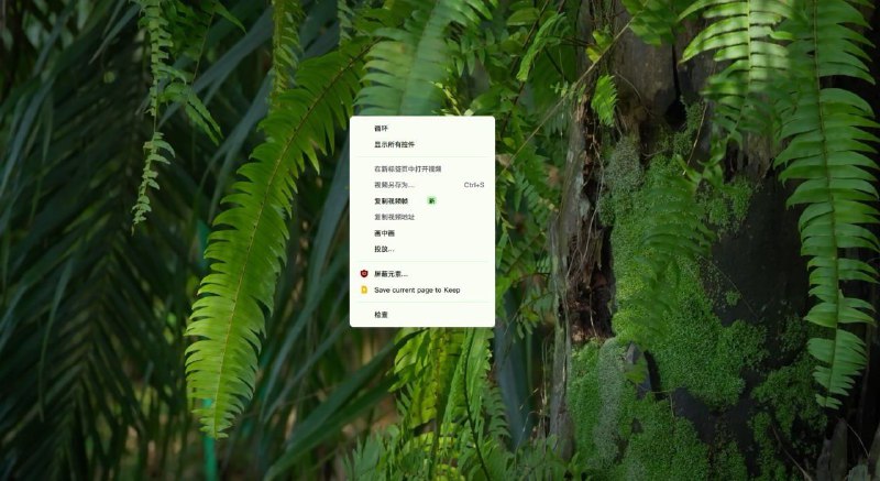 Chrome 浏览器的新功能“复制视频帧”可替代手动截图谷歌正在为桌面版 Chrome 浏览器添加一个新选项，让你可以快速“复制视频帧”