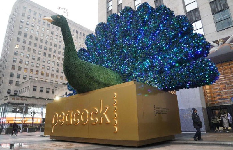 流媒体 Peacock 落后于竞争对手，第二季度仅增加了 200 万订阅者