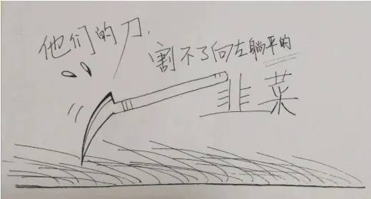 新的非暴力不合作运动