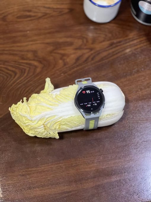 有用户使用华为手表在白菜上测出了心率，另外的一名用户发现对于 Apple Watch 来讲枕头是有心率的
